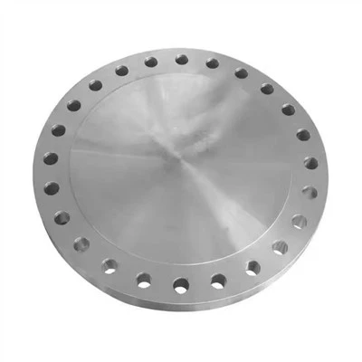 Flangia filettata in acciaio inox